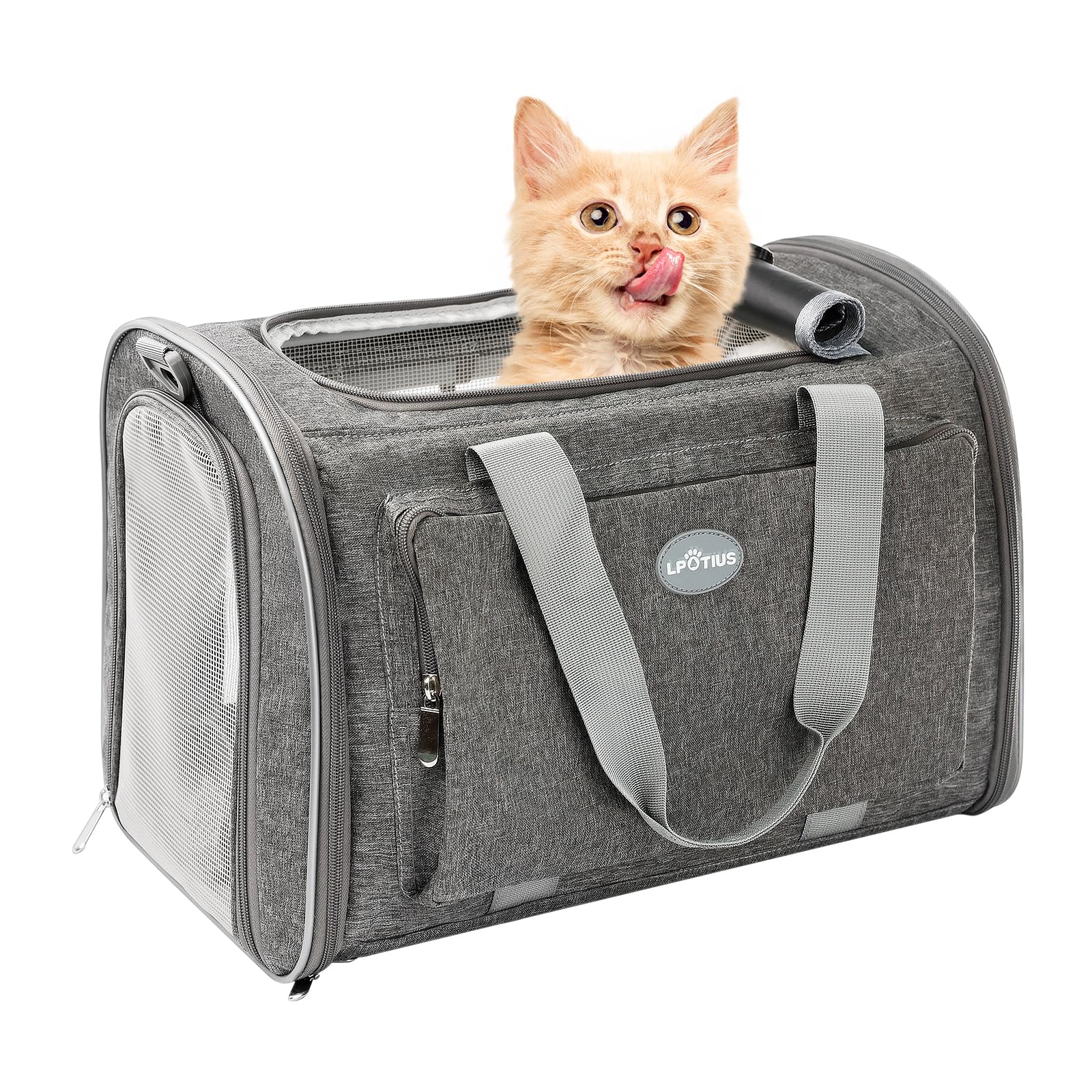 LPOTIUS Foldable Cat Carrier Soft-Sided Pet Carrier for Small Dogs and Large Medium Cats Airline Approved Travel Dog Carriers with Curtain Pocket Safety Leash and Cushion Pad Gray